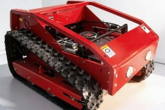 IMG-20260611-WA0050